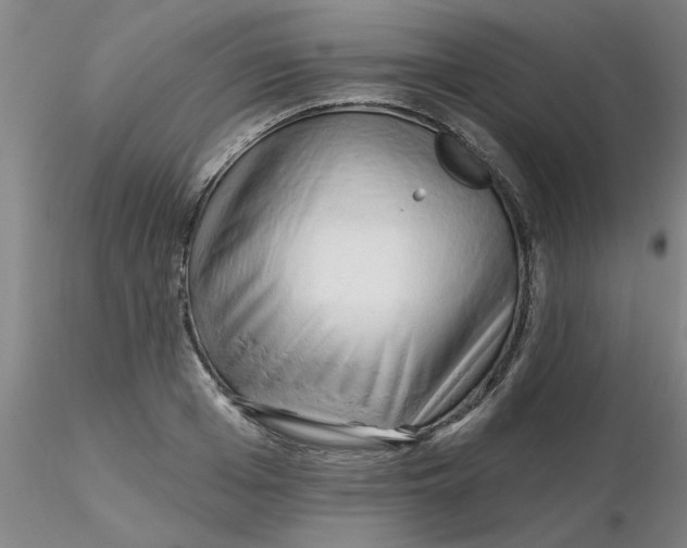 X0000116300985200912211858