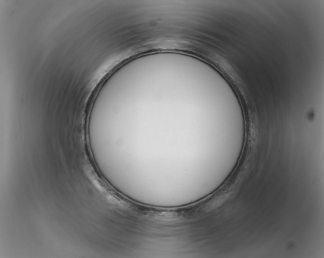 X0000116300986200912211858