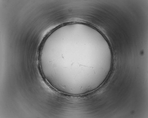 X0000116300987200912211858