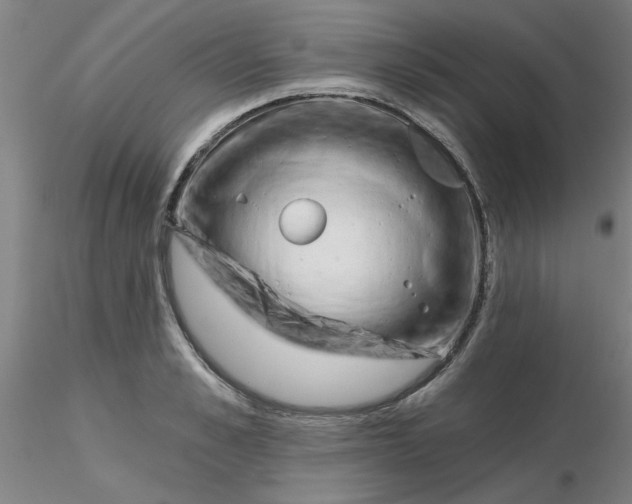 X0000116300989200912211858