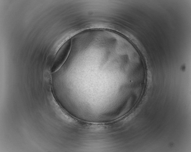 X0000116300993200912211858