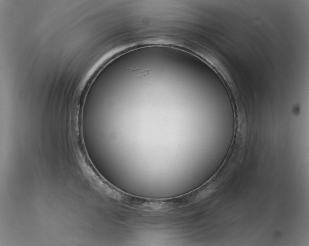 X0000116301000200912211857