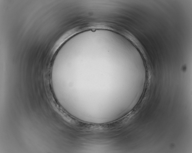 X0000116301002200912211857