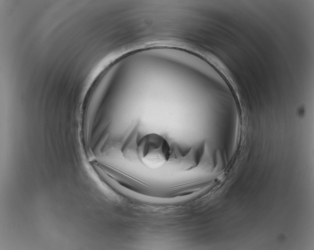 X0000116301005200912211857