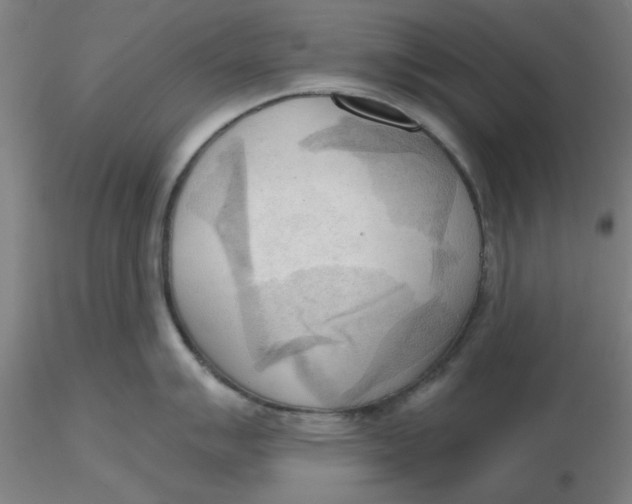 X0000116301007200912211857