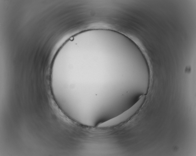 X0000116301008200912211857