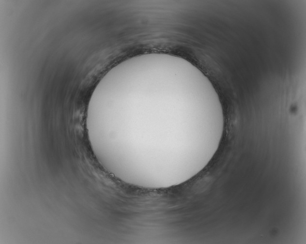 X0000116301010200912211857