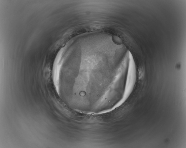 X0000116301011200912211857