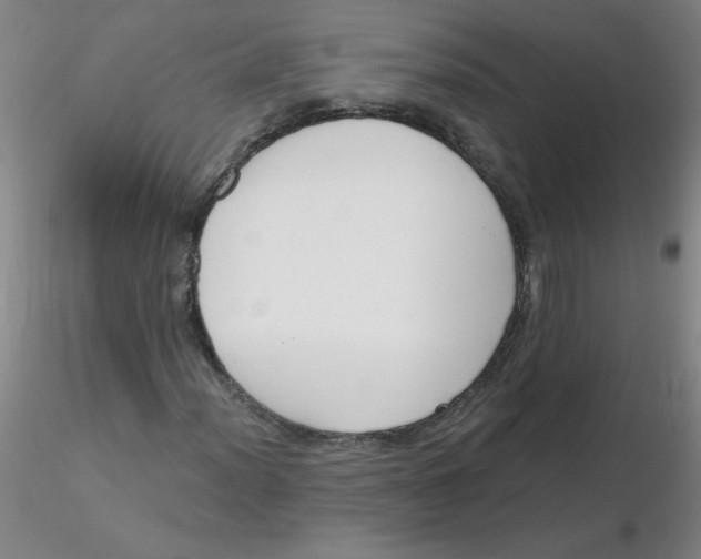 X0000116301012200912211857