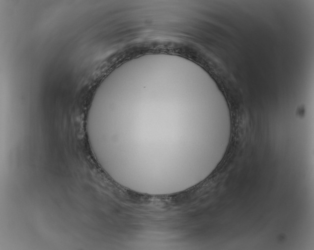 X0000116301013200912211857