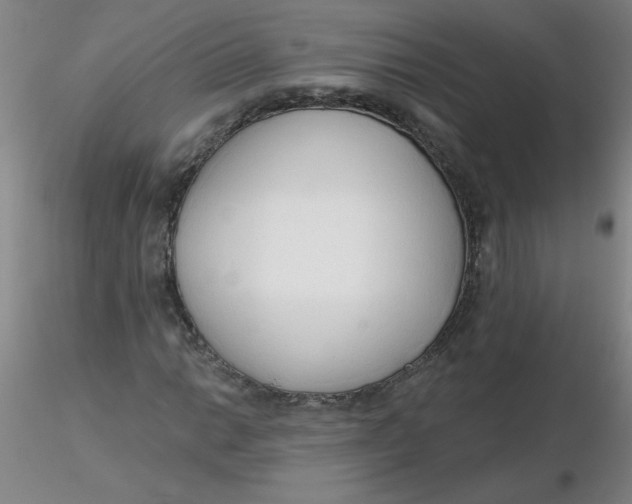 X0000116301014200912211857