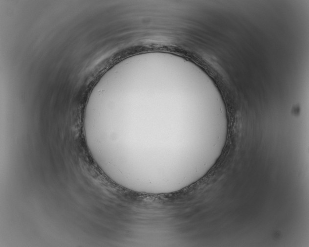 X0000116301015200912211857