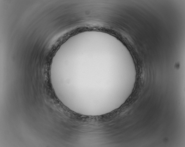 X0000116301016200912211857