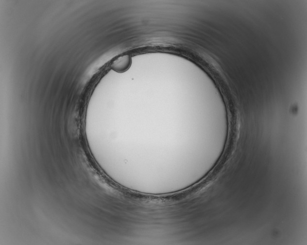 X0000116301018200912211857