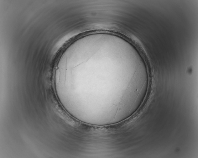 X0000116301019200912211857