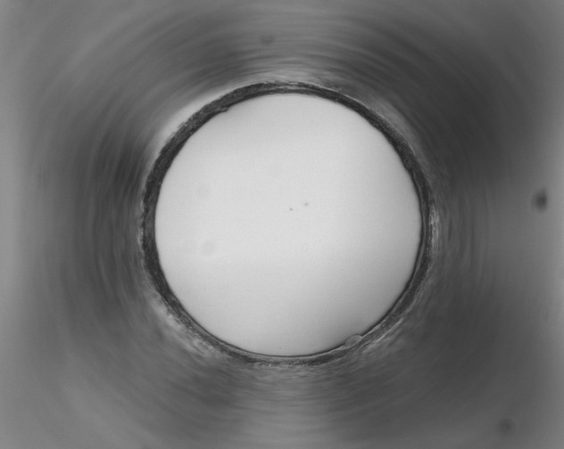 X0000116301020200912211857