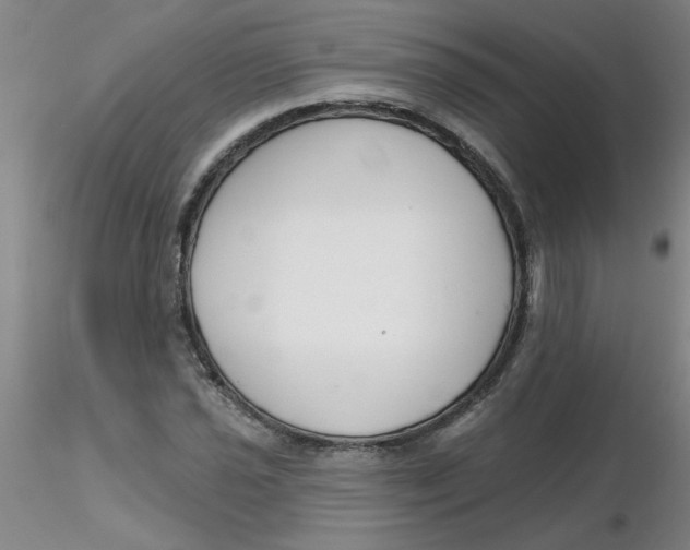 X0000116301021200912211857