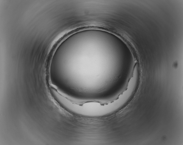 X0000116301024200912211857