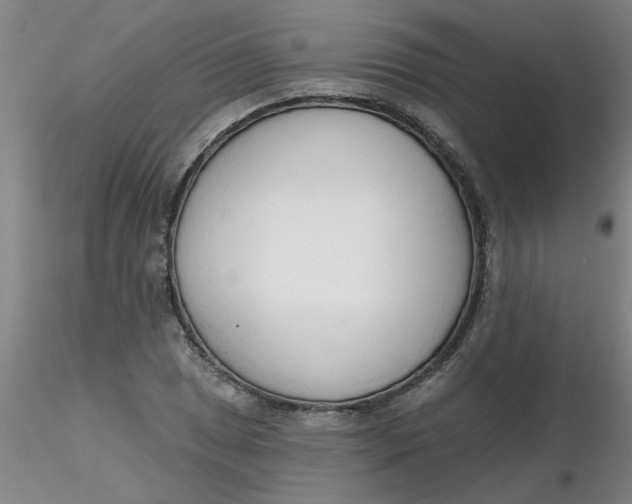 X0000116301025200912211857