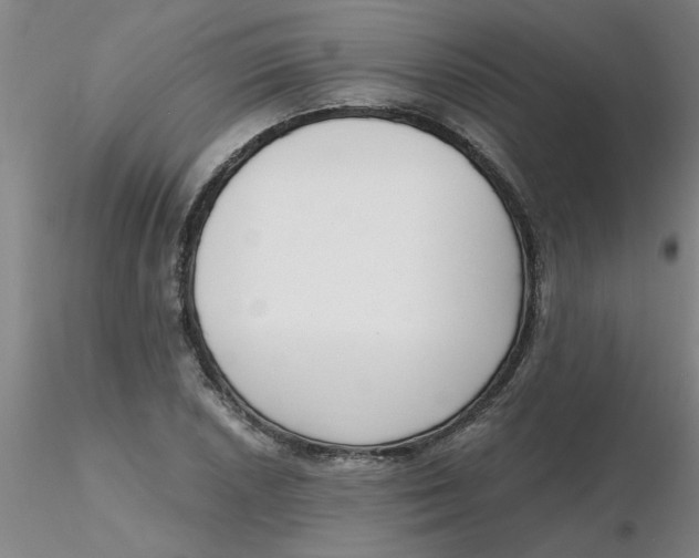 X0000116301026200912211857