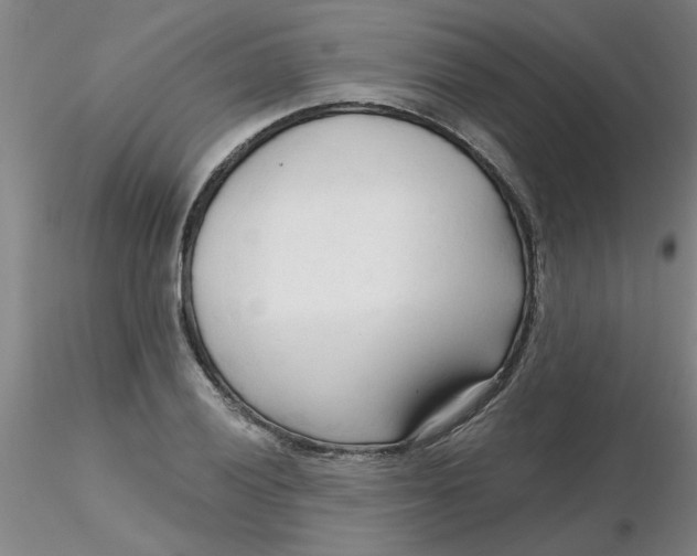 X0000116301028200912211857