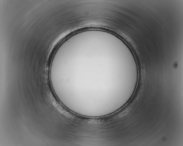 X0000116301029200912211857