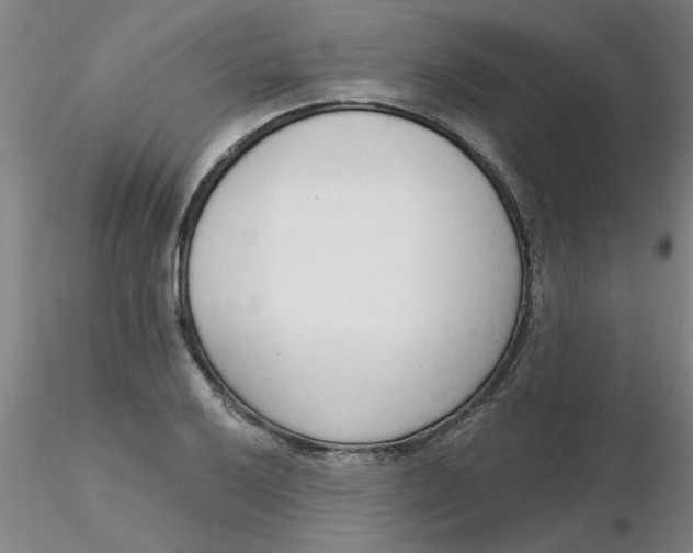 X0000116301032200912211857