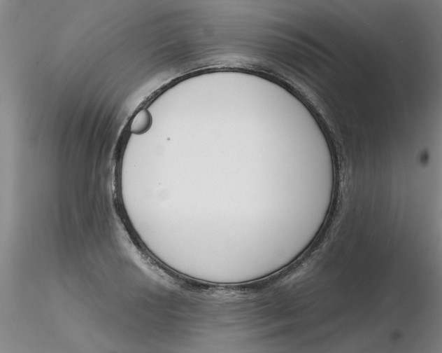 X0000116301034200912211857