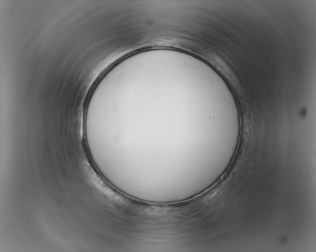 X0000116301036200912211857