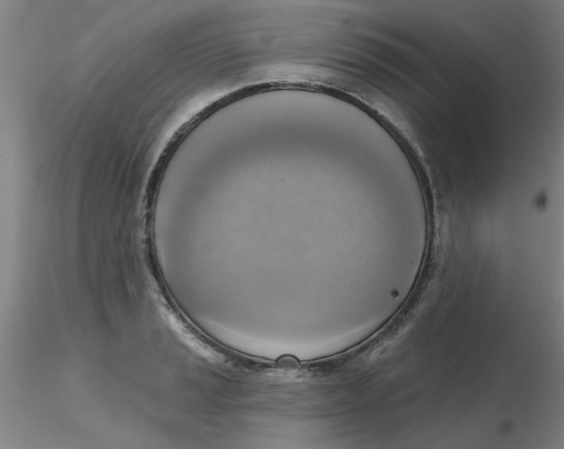 X0000116301037200912211857