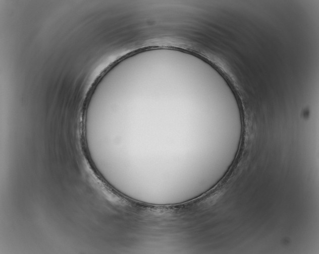 X0000116301040200912211857