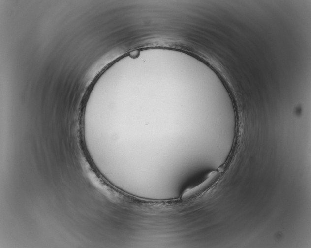 X0000116301042200912211857