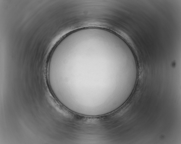 X0000116301043200912211857