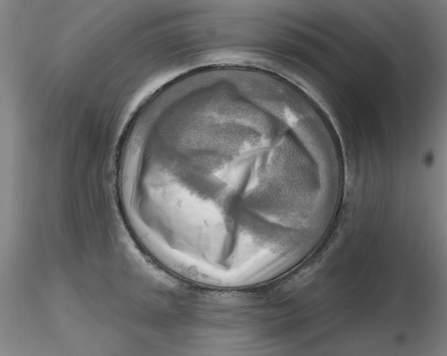 X0000116301045200912211857