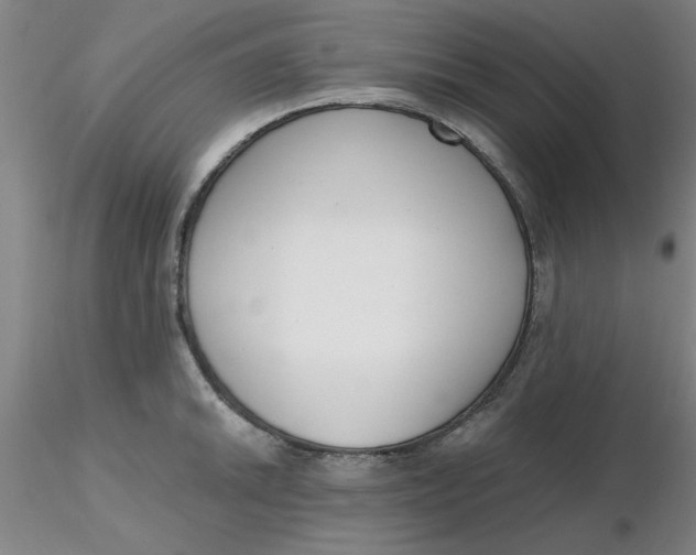 X0000116301046200912211857