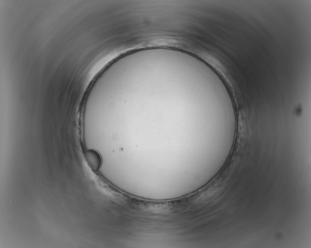 X0000116301047200912211857