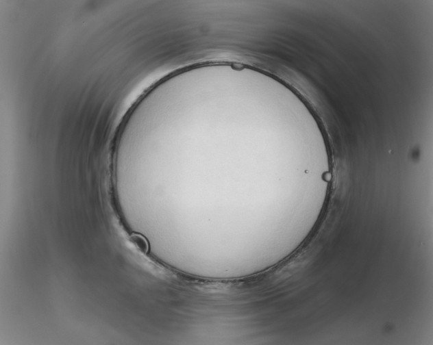 X0000116301048200912211857