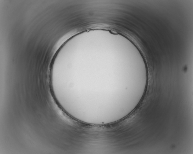 X0000116301050200912211857