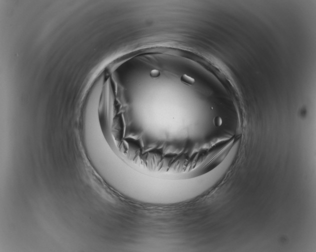 X0000116301051200912211857