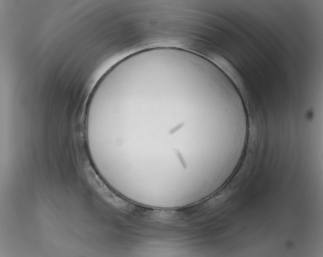 X0000116301052200912211857