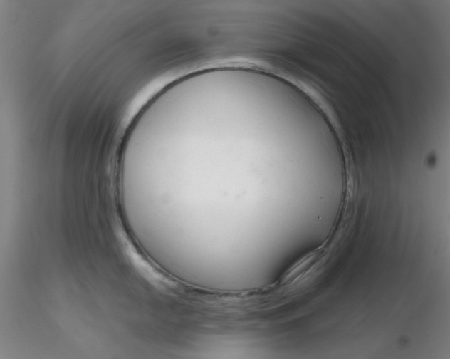 X0000116301054200912211857