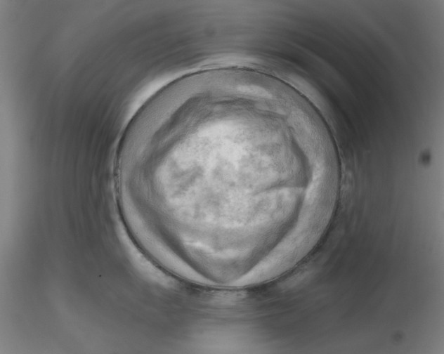 X0000116301055200912211857