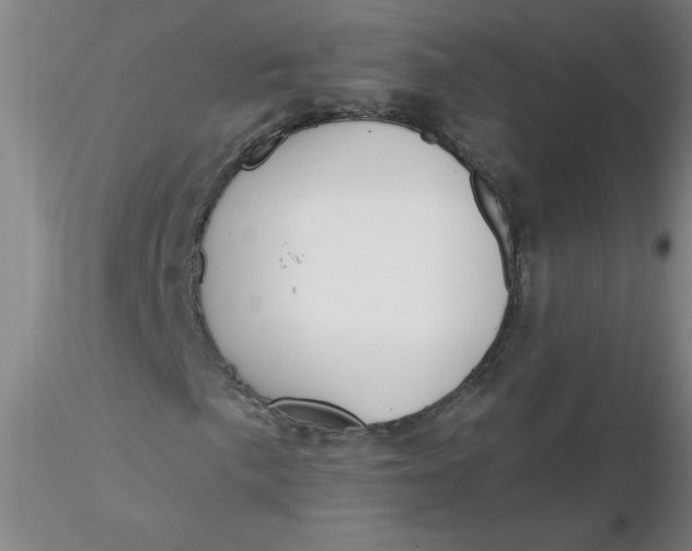 X0000116301057200912211857