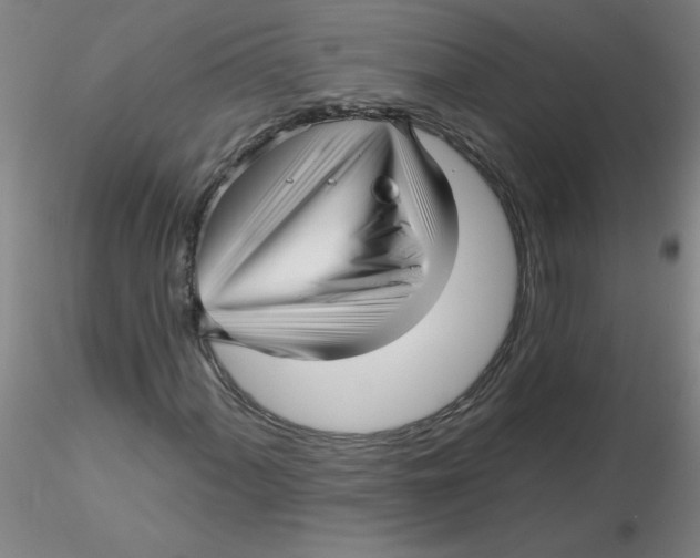 X0000116301060200912211857