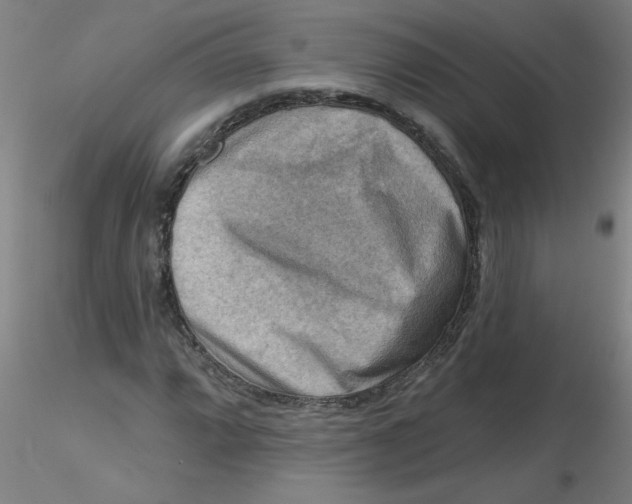 X0000116301064200912211857