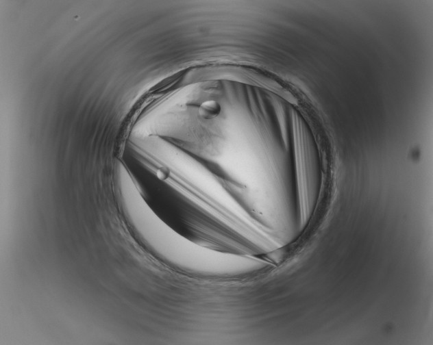 X0000116301065200912211857