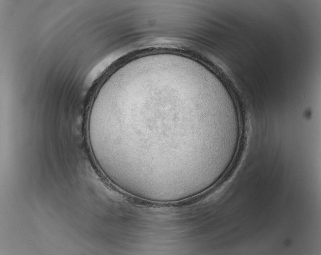 X0000116301066200912211857