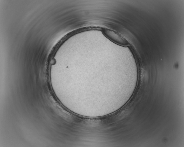 X0000116301068200912211857