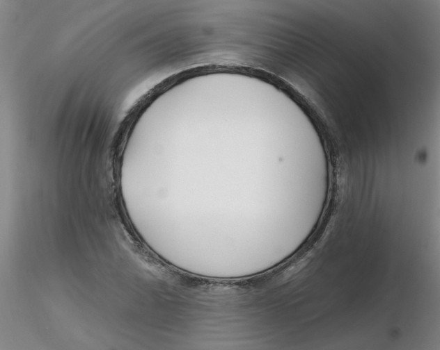 X0000116301070200912211857