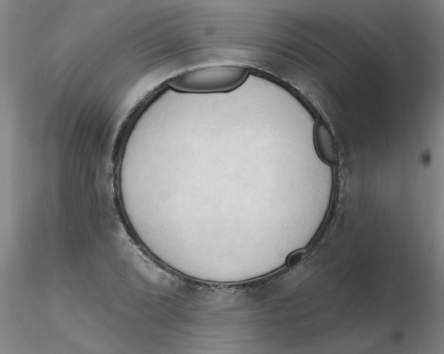 X0000116301072200912211856